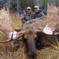 Canada Moose Hunts